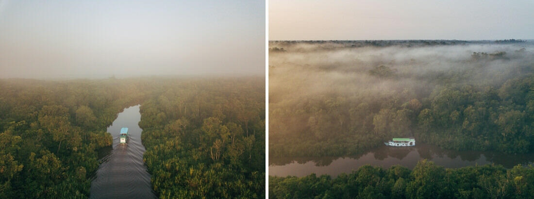007 Borneo Orangutan Pangkalan Bun - Borneo – Orangutans in Tanjung Puting National Park