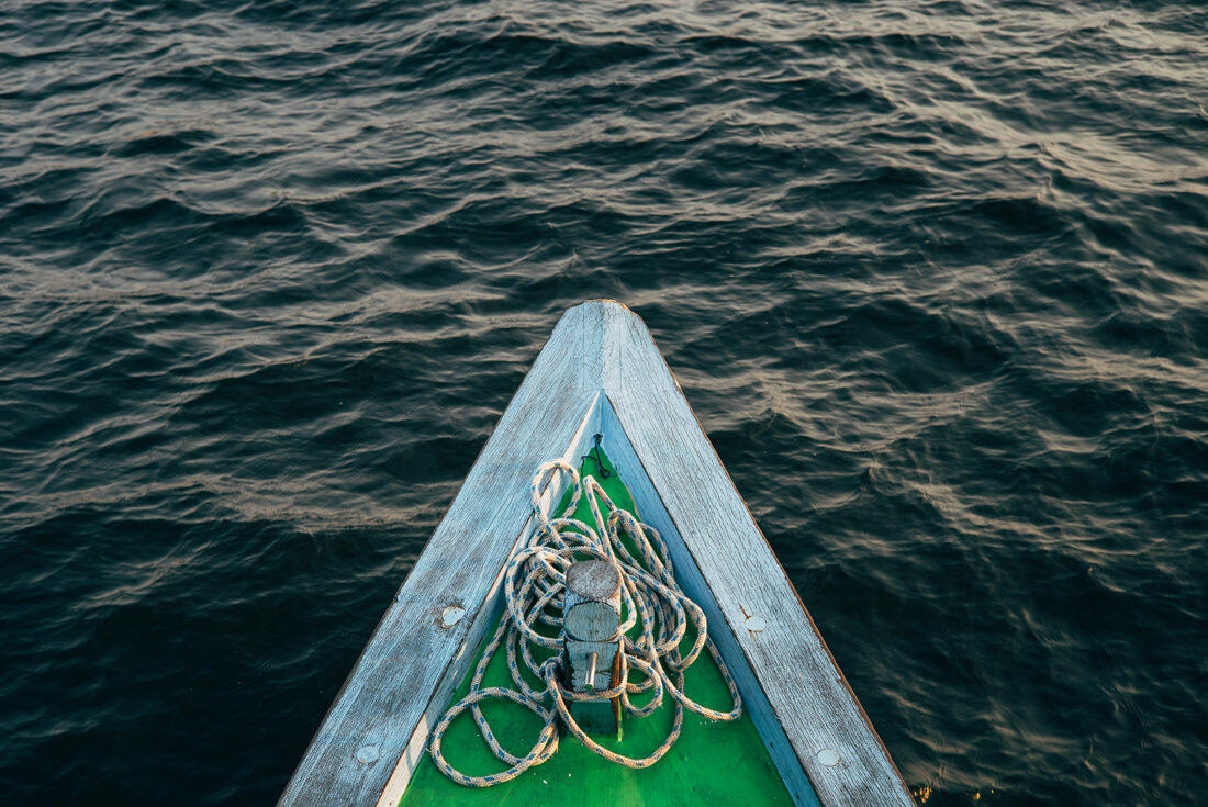 008 Borneo Orangutan Pangkalan Bun - Borneo – Orangutans in Tanjung Puting National Park