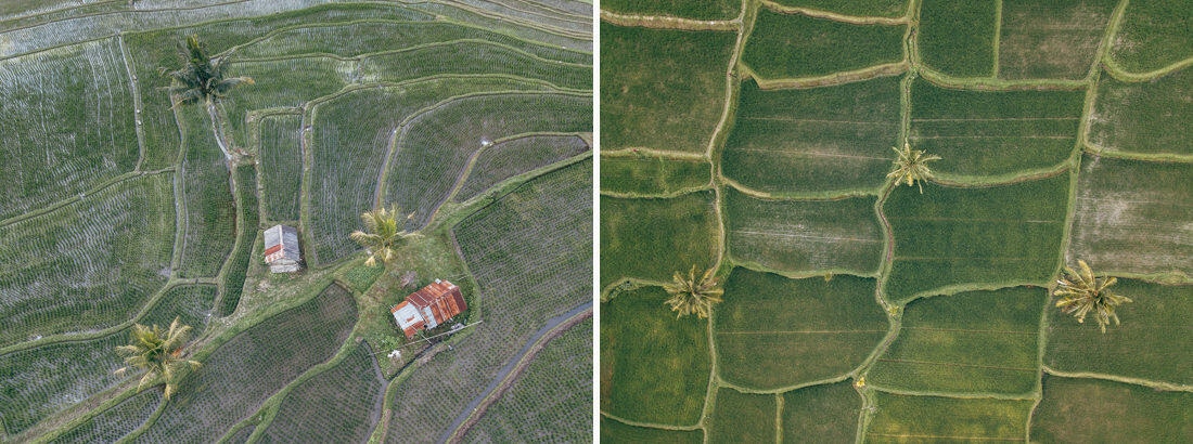 008 bali luftaufnahmen reisterrassen jatiluwih 1 - Bali - Luftaufnahmen Reisterrassen