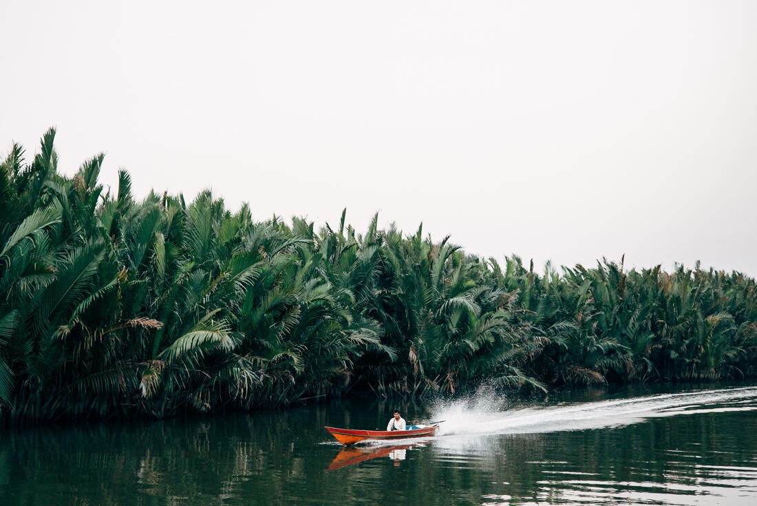 010 Borneo Orangutan Pangkalan Bun - Borneo – Orangutans in Tanjung Puting National Park