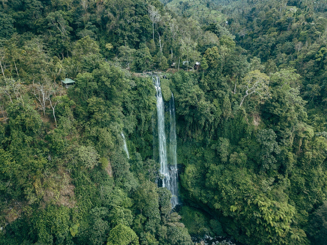 016 bali tempel ubud wasserfall 1 - Bali – Canggu, Ubud, and Uluwatu