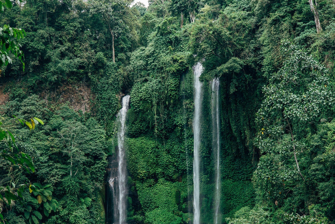 017 bali tempel ubud wasserfall 1 - Bali – Canggu, Ubud, and Uluwatu