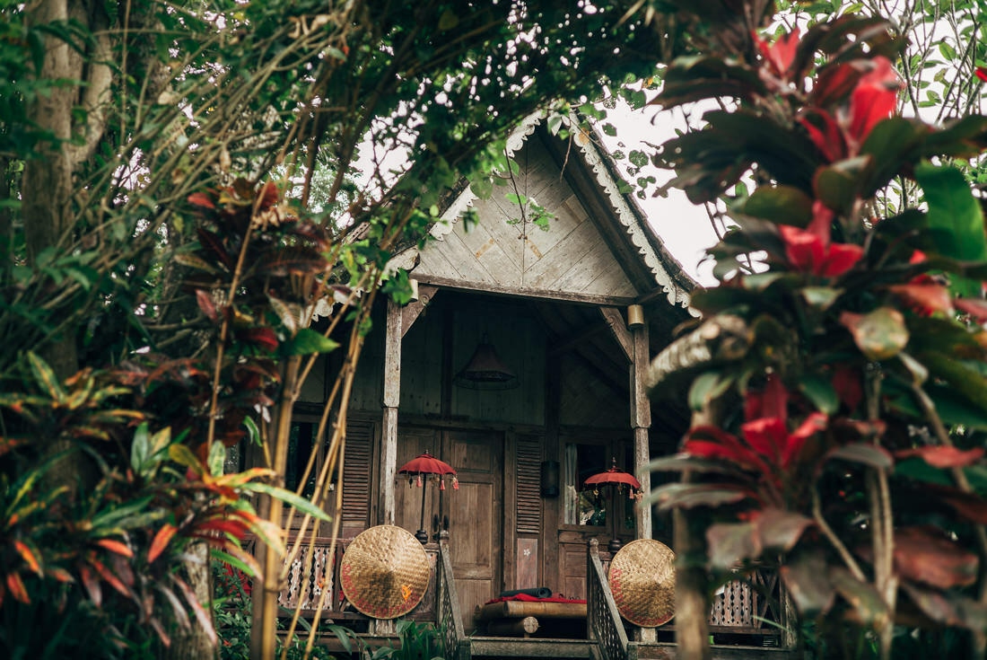 021 bali tempel ubud wasserfall 1 - Bali – Canggu, Ubud, and Uluwatu