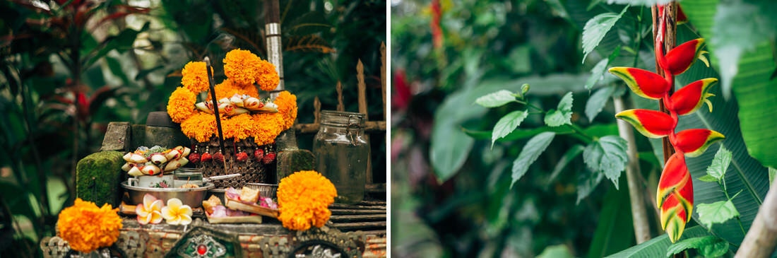 022 bali tempel ubud wasserfall 1 - Bali – Canggu, Ubud, and Uluwatu