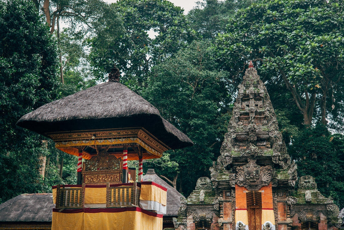024 bali tempel ubud wasserfall 1 - Bali – Canggu, Ubud, and Uluwatu
