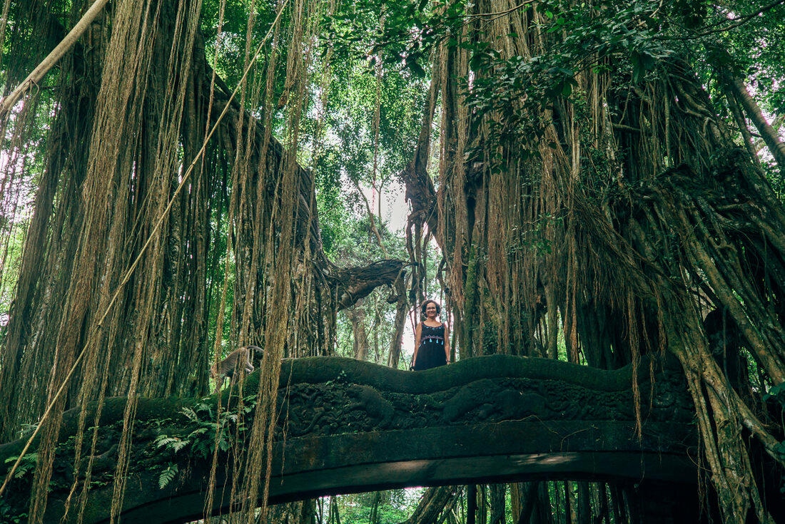 025 bali tempel ubud wasserfall 1 - Bali – Canggu, Ubud, and Uluwatu