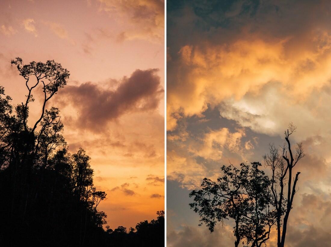 034 Borneo Orangutan Pangkalan Bun - Borneo – Orangutans in Tanjung Puting National Park