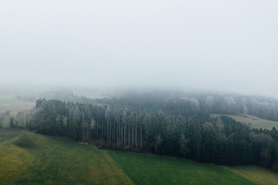 001 friedrichshafen wald schnee luftaufnahme - Aerial Shots Among the Clouds…