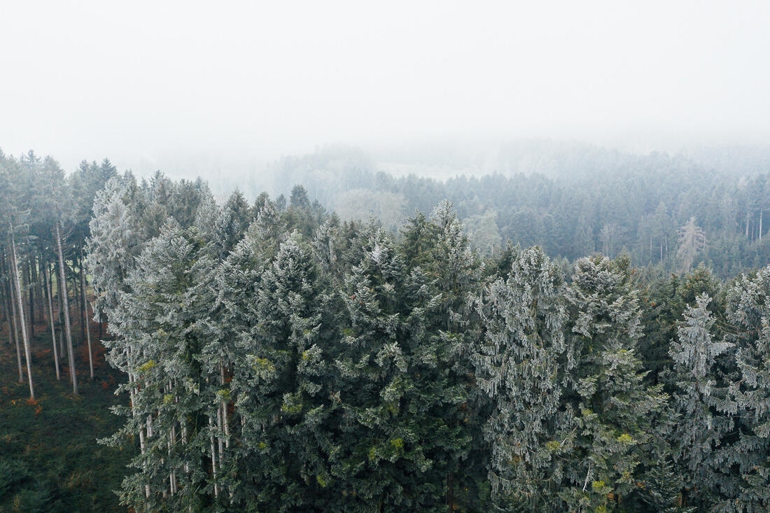 002 wald friedrichshafen luftaufnahme winter - Aerial Shots Among the Clouds…
