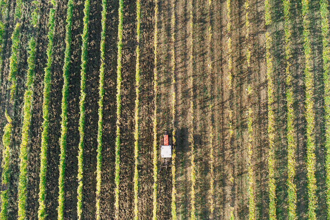 004 wandern toskana rundreise valdorcia - Road Trip Through Tuscany (Italy)