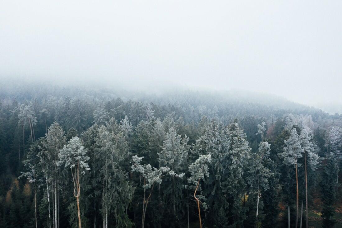 006 luftaufnahme schweiz wald hochzeitsfotograf - Aerial Shots Among the Clouds…