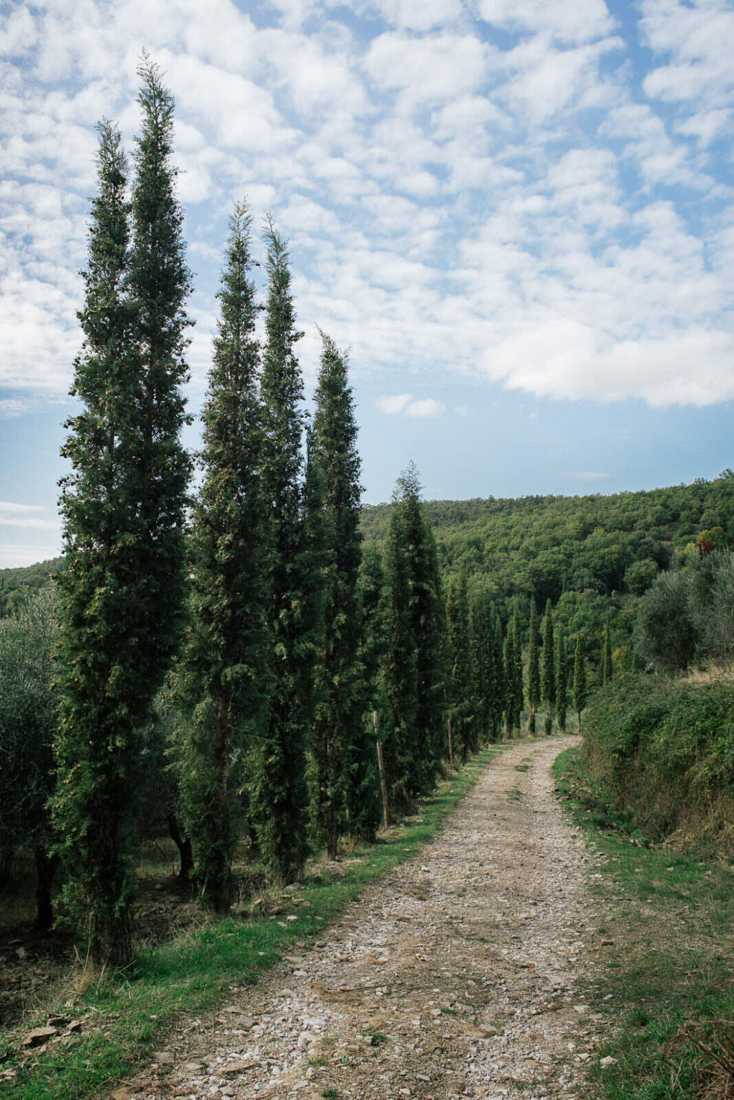010 rundreise sangimiano toskana valdorcia - Road Trip Through Tuscany (Italy)
