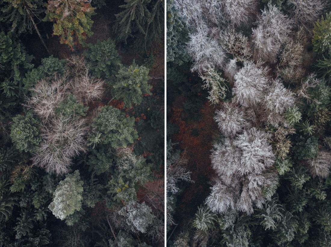 011 nebel schnee luftaufnahme wald - Aerial Shots Among the Clouds…