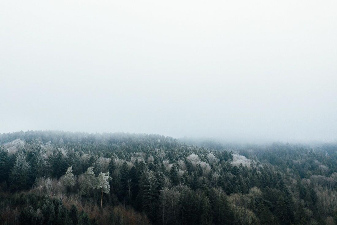 013 luftaufnahme konstanz wald nebel - Aerial Shots Among the Clouds…