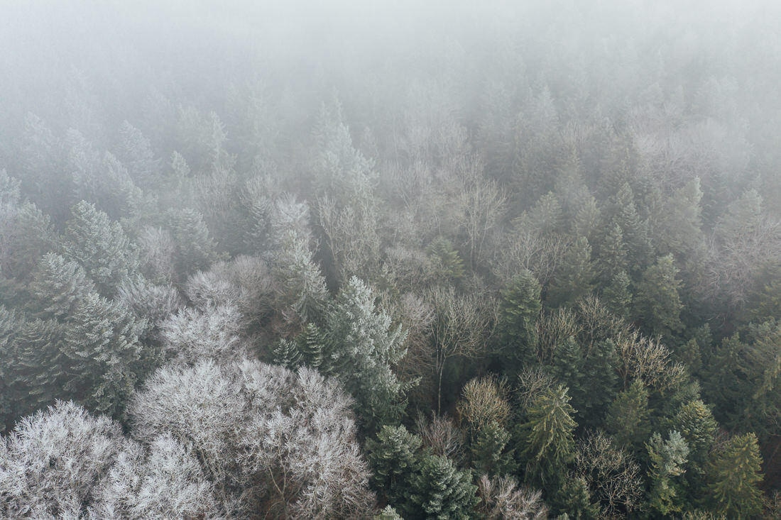 015 hochzeitsfotograf wald luftaufnahme frost - Aerial Shots Among the Clouds…