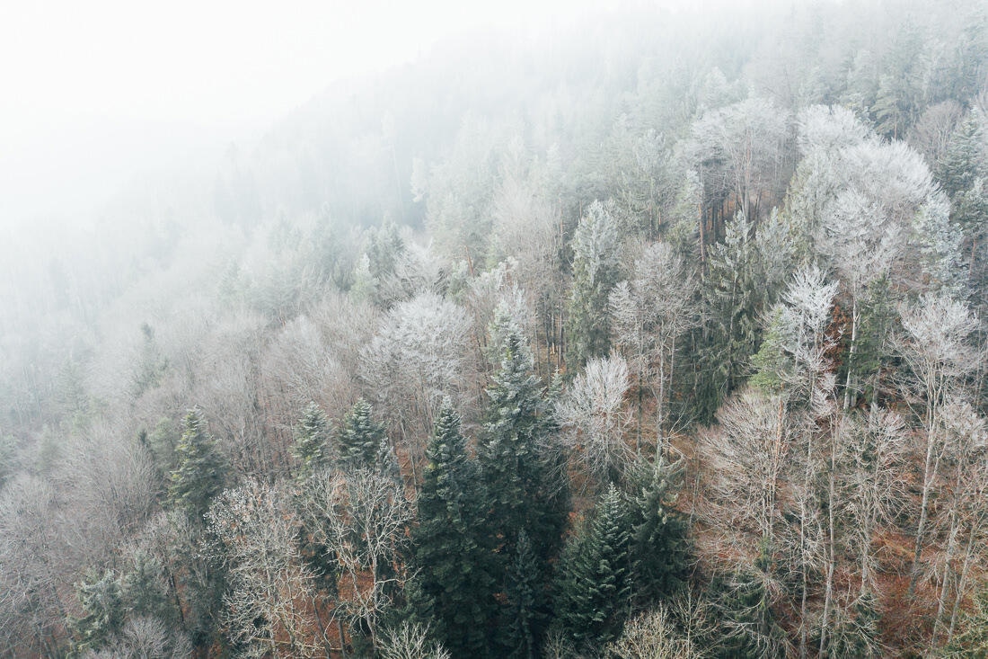 018 frost luftaufnahme lindau hochzeitsfotografie - Aerial Shots Among the Clouds…
