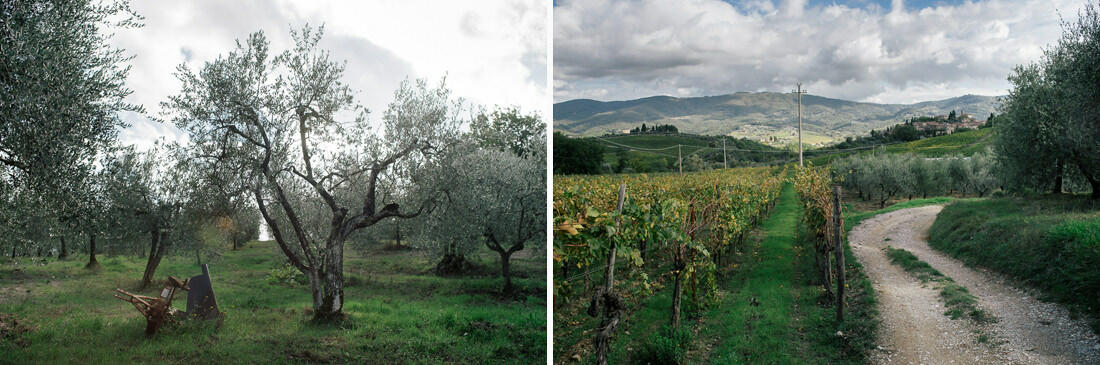 019 italien toskana florenz agriturismo - Road Trip Through Tuscany (Italy)