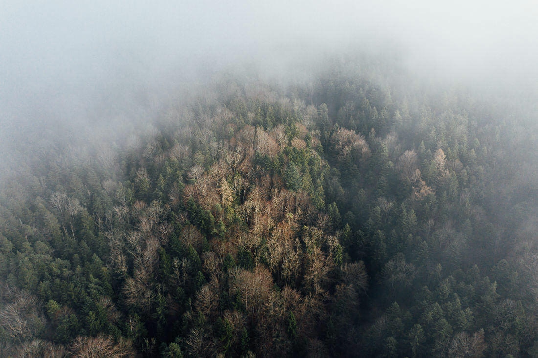 019 luftaufnahme zuerich mavic2pro schnee - Aerial Shots Among the Clouds…