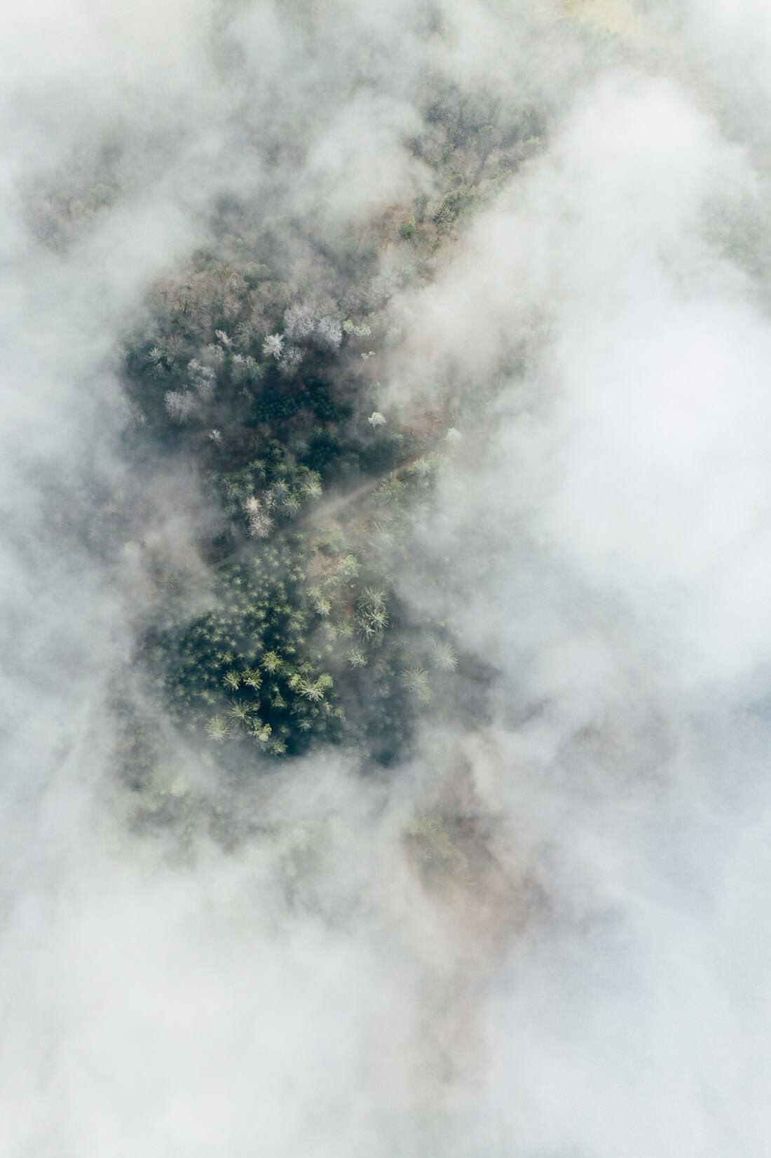 021 winter luftaufnahme hochzeitsfotograf wald - Aerial Shots Among the Clouds…