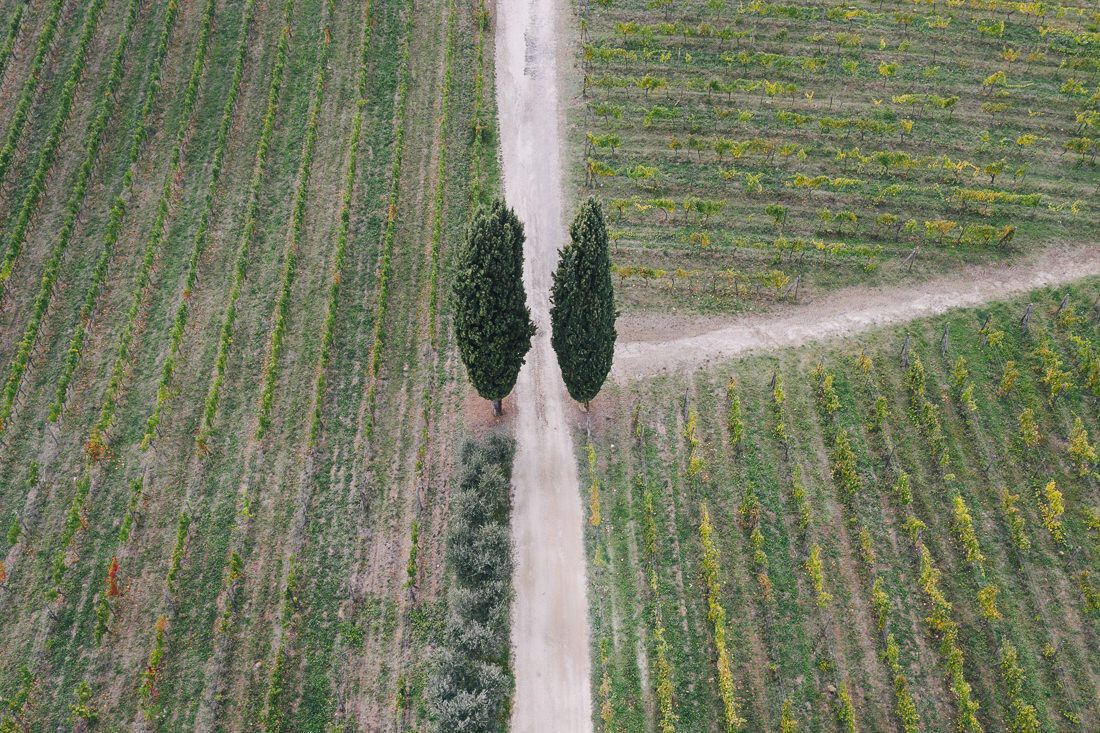 024 italien allee toskana offroad - Road Trip Through Tuscany (Italy)