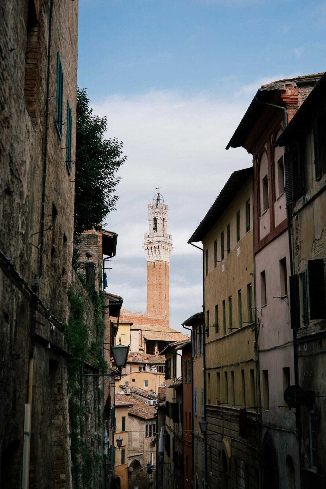 036 greve montecino wein toskana - Road Trip Through Tuscany (Italy)