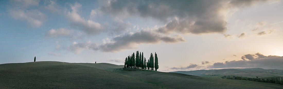 046 toskana sangimiano lucca wein - Road Trip Through Tuscany (Italy)