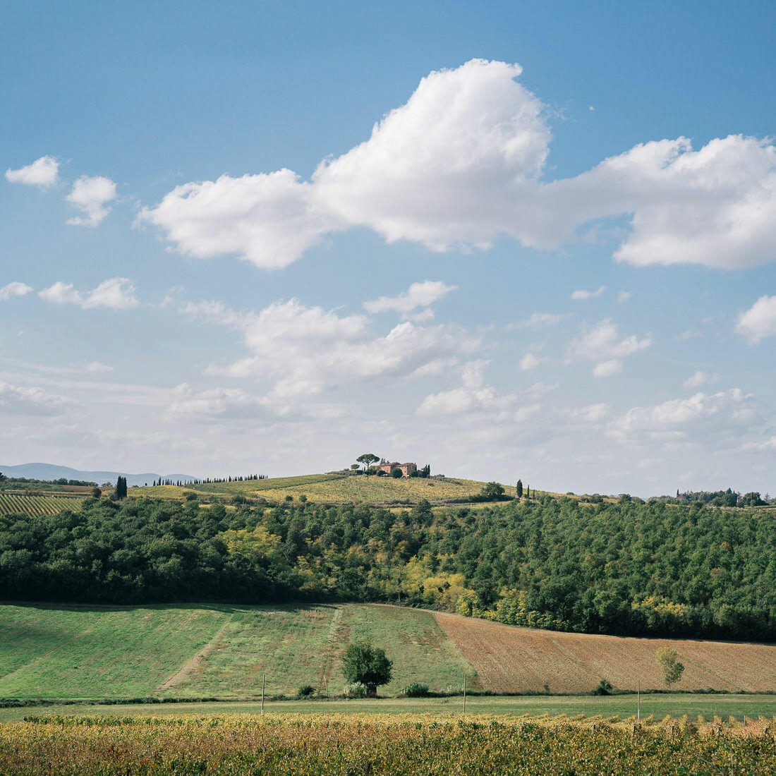 053 toskana valdorcia italien weinberge - Road Trip Through Tuscany (Italy)