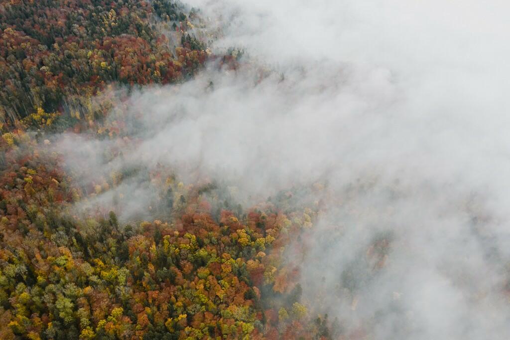 luftaufnahme bodensee gehrenberg herbst 0006 - Autumn Colors at Gehrenberg – Fog and Hues in Flight
