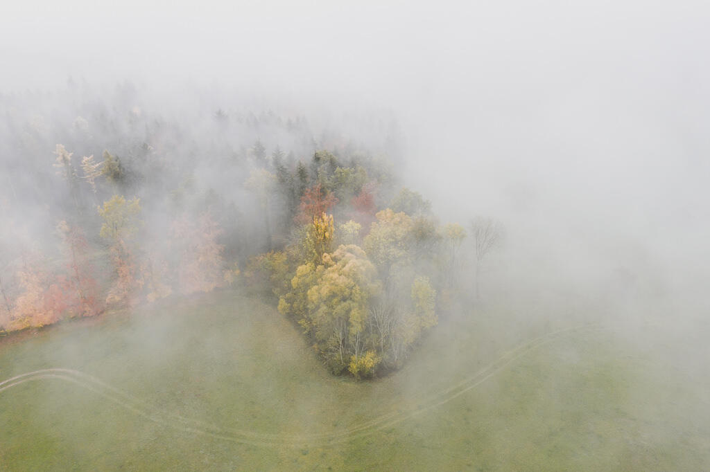 luftaufnahme bodensee gehrenberg herbst 0008 - Autumn Colors at Gehrenberg – Fog and Hues in Flight