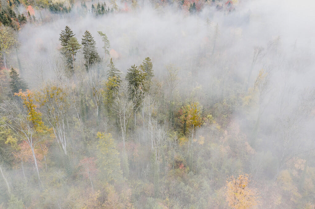 luftaufnahme bodensee gehrenberg herbst 0009 - Autumn Colors at Gehrenberg – Fog and Hues in Flight
