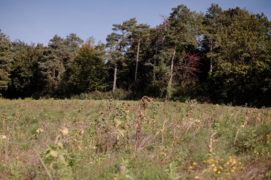 040 hochzeit carina lars web - Carina & Lars