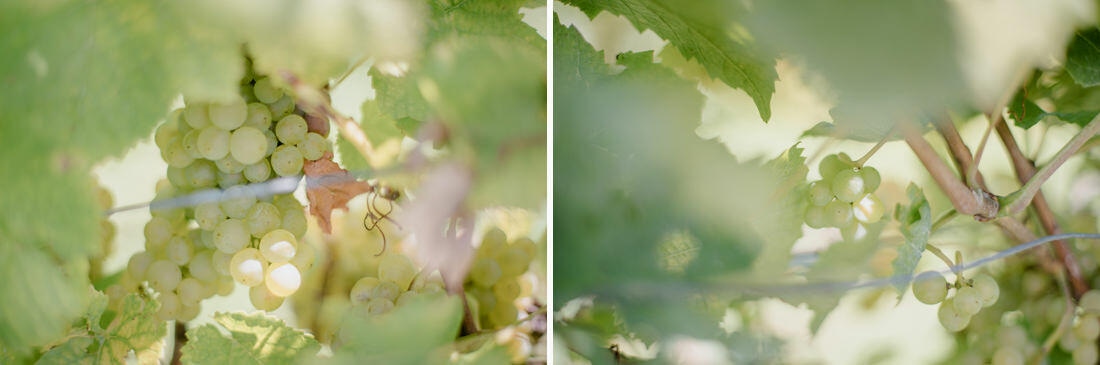 065 hochzeit carina lars web - Carina & Lars