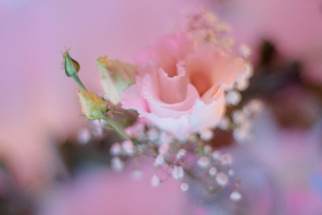 144 hochzeit carina lars web - Carina & Lars