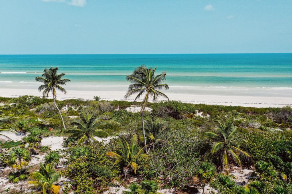 006 strand yucatan salzfelder elcuyo 1024x682 - Yucatán desde el cielo – Donde la playa y los colores bailan 006 strand yucatan salzfelder elcuyo 1024x682 - Yucatán desde el cielo – Donde la playa y los colores bailan