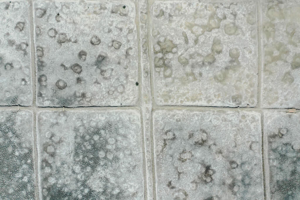 008 aveiro salzfelder portugal drohne 1024x682 - Salt Fields of Aveiro: A Play of Color and Structure