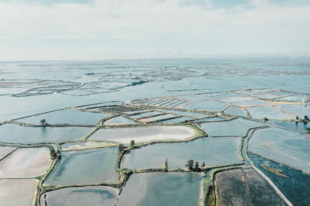 020 aveiro salzfelder portugal drohne 1024x682 - Salt Fields of Aveiro: A Play of Color and Structure