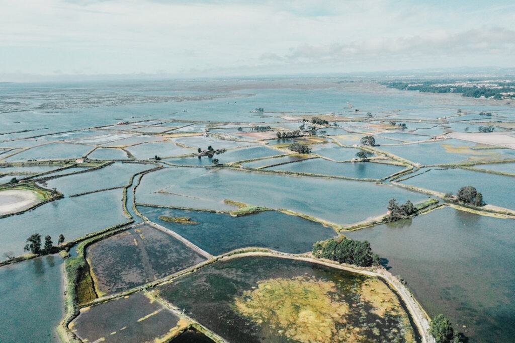 021 aveiro salzfelder portugal drohne 1024x682 - Salt Fields of Aveiro: A Play of Color and Structure