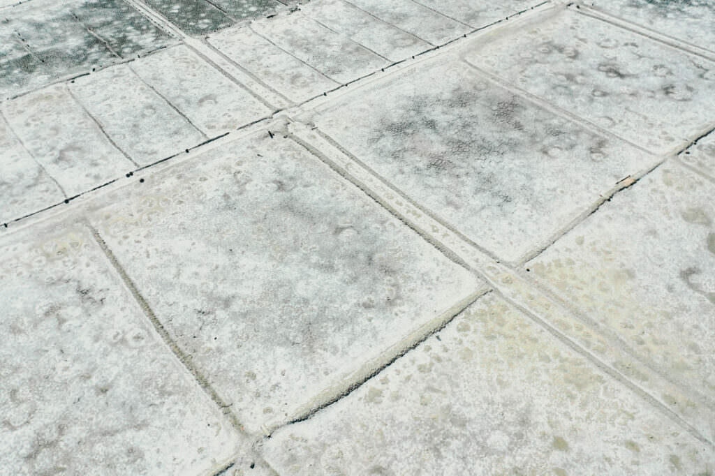 028 aveiro salzfelder portugal drohne 1024x682 - Salt Fields of Aveiro: A Play of Color and Structure