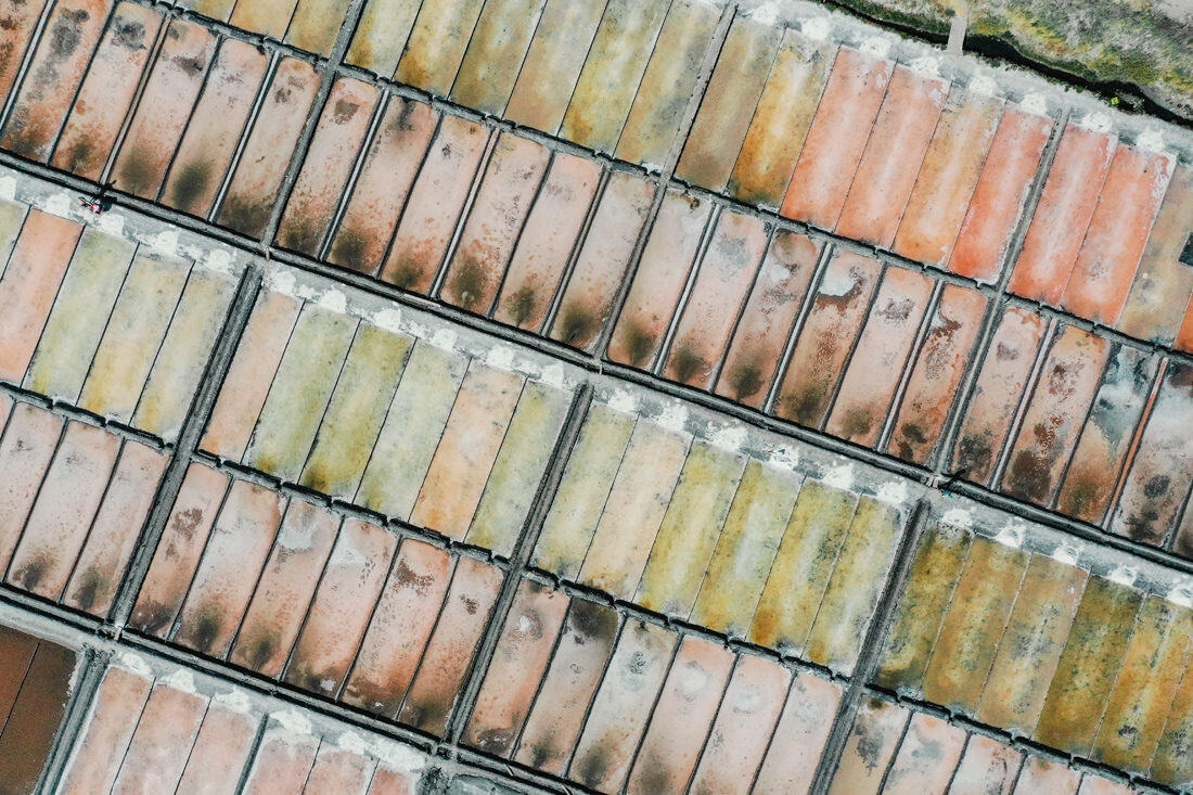 Salt Fields of Aveiro: A Play of Color and Structure