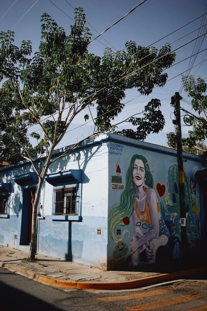 001 oaxaca mexico phototour 683x1024 - Oaxaca – Un Mundo entre Arte y Sabor