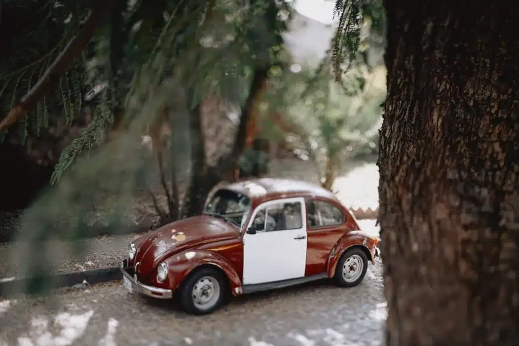 006 storyboard 1024x683 - Ciudad de México – Un Viaje Fotográfico en el Tiempo sobre Ruedas 006 storyboard 1024x683 - Ciudad de México – Un Viaje Fotográfico en el Tiempo sobre Ruedas