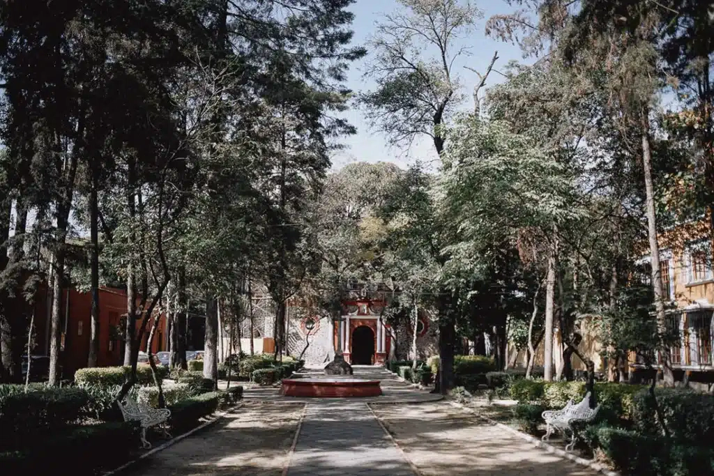 007 storyboard 1024x683 - Ciudad de México – Un Viaje Fotográfico en el Tiempo sobre Ruedas 007 storyboard 1024x683 - Ciudad de México – Un Viaje Fotográfico en el Tiempo sobre Ruedas