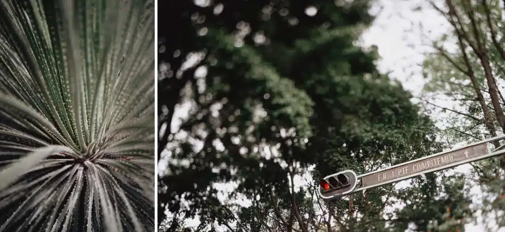 016 storyboard 1024x470 - Ciudad de México – Un Viaje Fotográfico en el Tiempo sobre Ruedas 016 storyboard 1024x470 - Ciudad de México – Un Viaje Fotográfico en el Tiempo sobre Ruedas