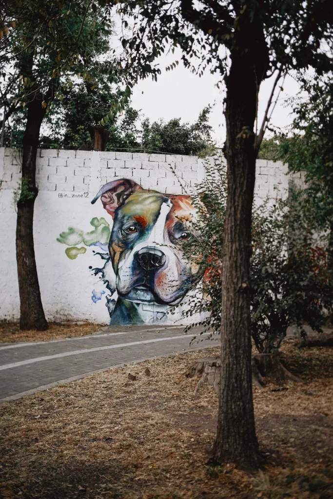 018 storyboard 683x1024 - Ciudad de México – Un Viaje Fotográfico en el Tiempo sobre Ruedas 018 storyboard 683x1024 - Ciudad de México – Un Viaje Fotográfico en el Tiempo sobre Ruedas