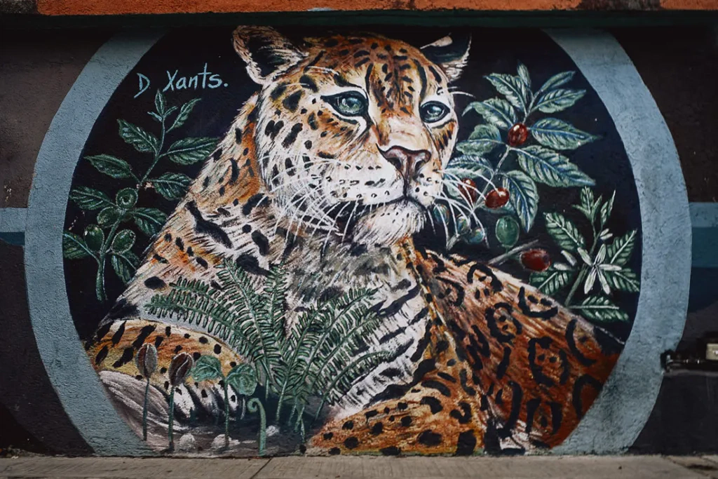 025 oaxaca mexico phototour 1024x683 - Oaxaca – Un Mundo entre Arte y Sabor