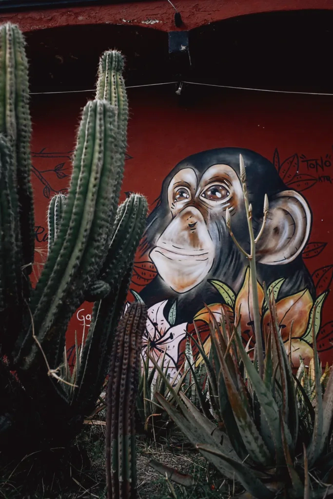 040 oaxaca mexico phototour 683x1024 - Oaxaca – Un Mundo entre Arte y Sabor