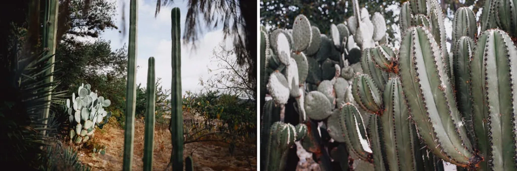 041 oaxaca mexico phototour 1024x340 - Oaxaca – Un Mundo entre Arte y Sabor