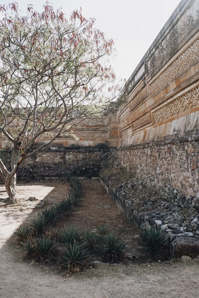 043 oaxaca mexico phototour 683x1024 - Oaxaca – Un Mundo entre Arte y Sabor