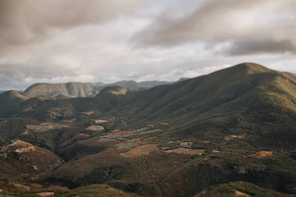 053 oaxaca mexico phototour 1024x683 - Oaxaca – Un Mundo entre Arte y Sabor