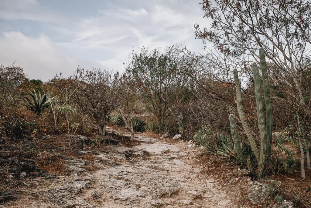 054 oaxaca mexico phototour 1024x683 - Oaxaca – Un Mundo entre Arte y Sabor